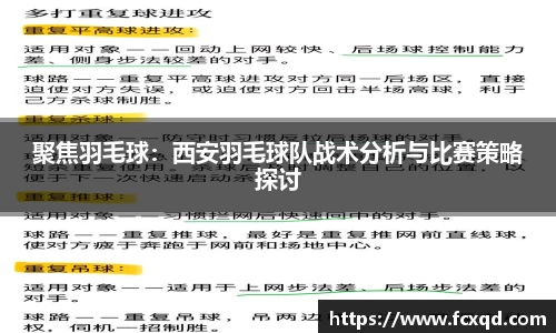 新利体育官网